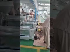 آلة ضغط زيت الفلفل