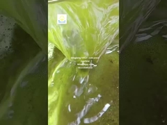 آلة ضغط زيت بذور عباد الشمس