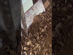 زيت بذور العنب المضغوط بالبرد