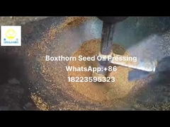 مستخرج الزيت المضغوط بالبرد