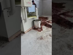 آلة ضغط زيت بارد